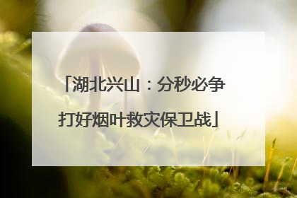 湖北兴山：分秒必争 打好烟叶救灾保卫战