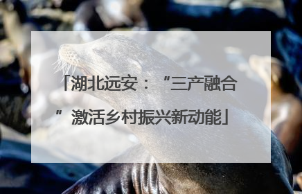 湖北远安：“三产融合”激活乡村振兴新动能