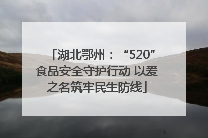 湖北鄂州：“520”食品安全守护行动 以爱之名筑牢民生防线