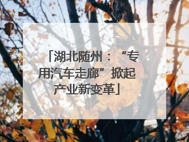 湖北随州：“专用汽车走廊”掀起产业新变革