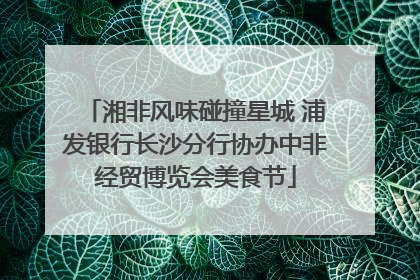 湘非风味碰撞星城 浦发银行长沙分行协办中非经贸博览会美食节