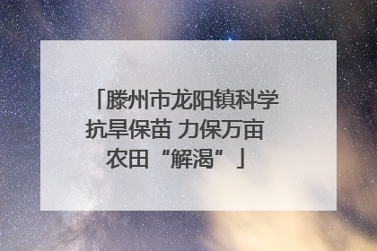 滕州市龙阳镇科学抗旱保苗 力保万亩农田“解渴”