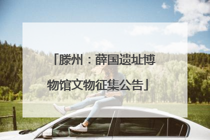 滕州：薛国遗址博物馆文物征集公告