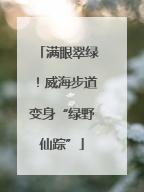 满眼翠绿！威海步道变身“绿野仙踪”