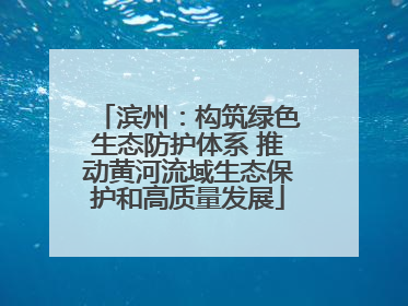 滨州：构筑绿色生态防护体系 推动黄河流域生态保护和高质量发展