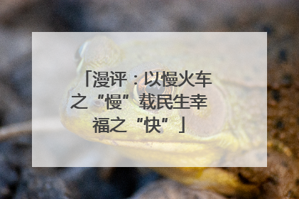 漫评：以慢火车之“慢”载民生幸福之“快”