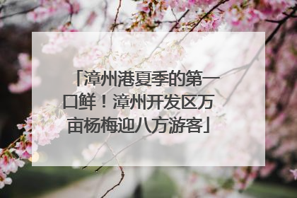 漳州港夏季的第一口鲜！漳州开发区万亩杨梅迎八方游客