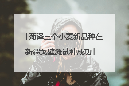 菏泽三个小麦新品种在新疆戈壁滩试种成功