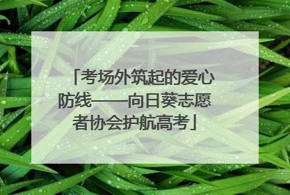 考场外筑起的爱心防线——向日葵志愿者协会护航高考