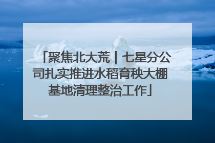 聚焦北大荒｜七星分公司扎实推进水稻育秧大棚基地清理整治工作