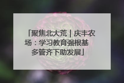 聚焦北大荒｜庆丰农场：学习教育强根基 多管齐下助发展