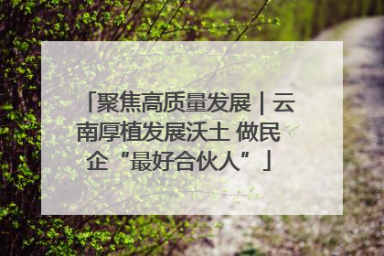 聚焦高质量发展｜云南厚植发展沃土 做民企“最好合伙人”