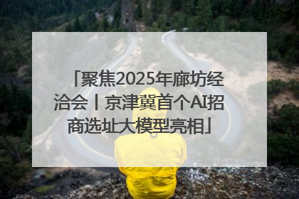 聚焦2025年廊坊经洽会丨京津冀首个AI招商选址大模型亮相