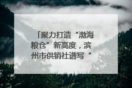 聚力打造“渤海粮仓”新高度，滨州市供销社谱写“三夏”丰收乐章