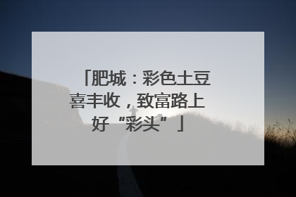 肥城：彩色土豆喜丰收，致富路上好“彩头”