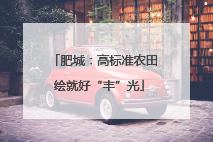 肥城：高标准农田绘就好“丰”光