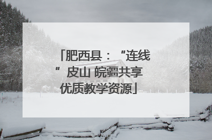 肥西县：“连线”皮山 皖疆共享优质教学资源