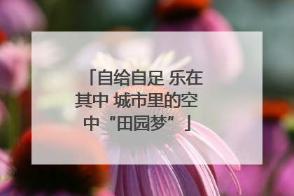 自给自足 乐在其中 城市里的空中“田园梦”