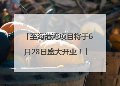 至海港湾项目将于6月28日盛大开业！