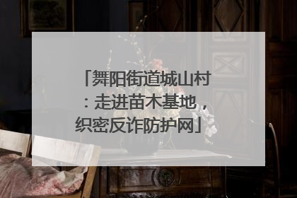 舞阳街道城山村：走进苗木基地，织密反诈防护网
