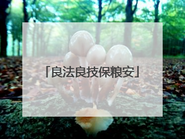 良法良技保粮安