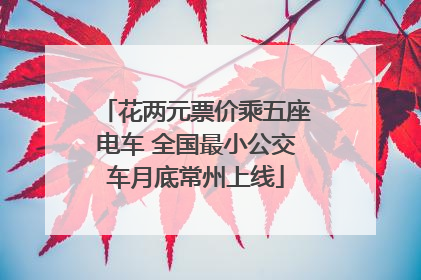 花两元票价乘五座电车 全国最小公交车月底常州上线