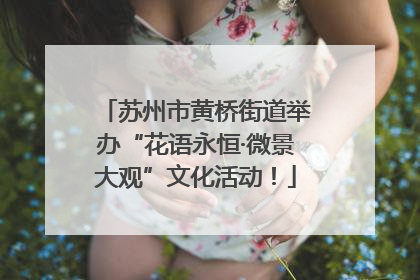 苏州市黄桥街道举办“花语永恒·微景大观”文化活动！