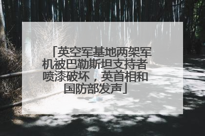 英空军基地两架军机被巴勒斯坦支持者喷漆破坏，英首相和国防部发声