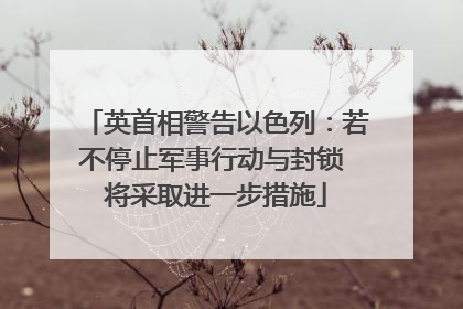 英首相警告以色列：若不停止军事行动与封锁 将采取进一步措施