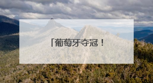 葡萄牙夺冠！C罗掩面痛哭