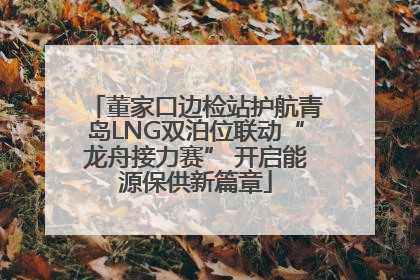 董家口边检站护航青岛LNG双泊位联动“龙舟接力赛” 开启能源保供新篇章