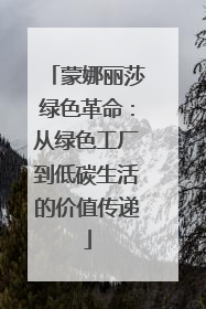 蒙娜丽莎绿色革命：从绿色工厂到低碳生活的价值传递