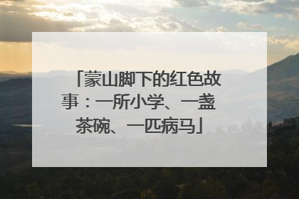 蒙山脚下的红色故事：一所小学、一盏茶碗、一匹病马