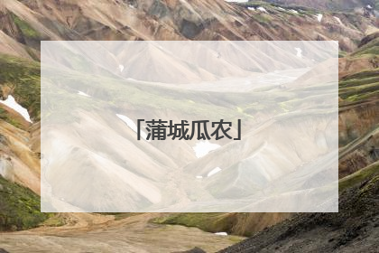 蒲城瓜农