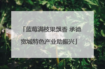 蓝莓满枝果飘香 承德宽城特色产业助振兴