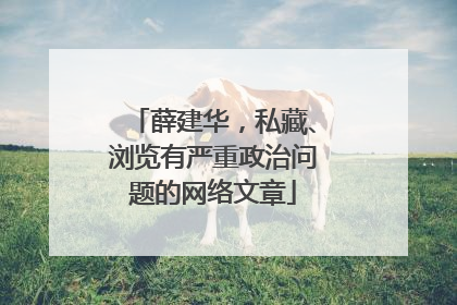 薛建华，私藏、浏览有严重政治问题的网络文章