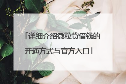 详细介绍微粒贷借钱的开通方式与官方入口
