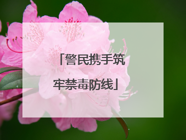警民携手筑牢禁毒防线