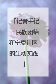 记者手记：民族团结在宁夏社区的生动实践