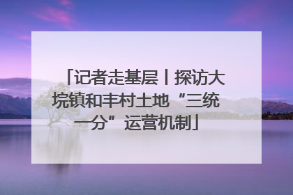 记者走基层丨探访大垸镇和丰村土地“三统一分”运营机制