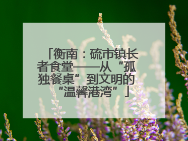 衡南：硫市镇长者食堂——从“孤独餐桌”到文明的“温馨港湾”