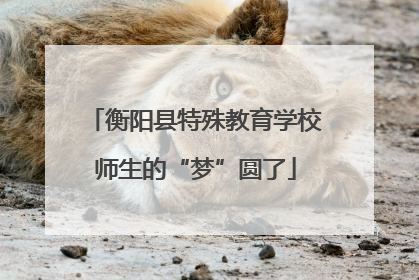 衡阳县特殊教育学校师生的“梦”圆了