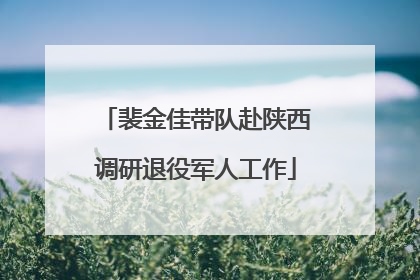 裴金佳带队赴陕西调研退役军人工作