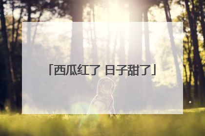 西瓜红了 日子甜了