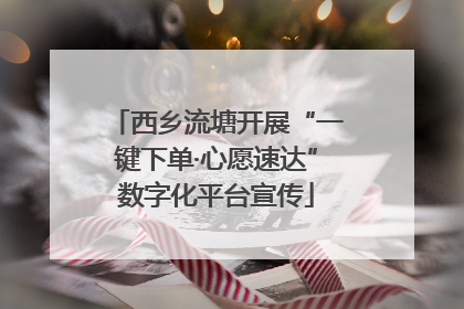 西乡流塘开展“一键下单·心愿速达”数字化平台宣传