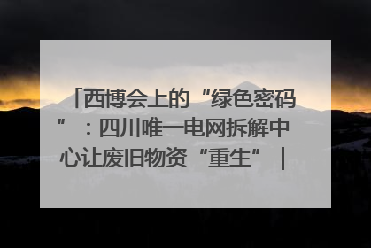 西博会上的“绿色密码”：四川唯一电网拆解中心让废旧物资“重生”｜西博寻“新”记