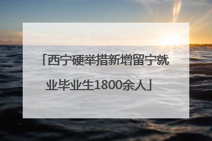 西宁硬举措新增留宁就业毕业生1800余人