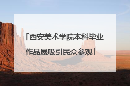 西安美术学院本科毕业作品展吸引民众参观
