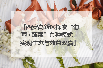 西安高新区探索“葡萄+蔬菜”套种模式 实现生态与效益双赢