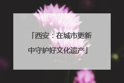西安：在城市更新中守护好文化遗产